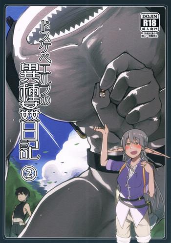 dosukebe elf no ishukan nikki 2 cover