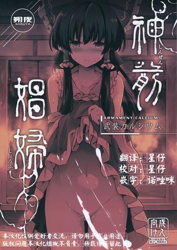 shinzen shoufu cover