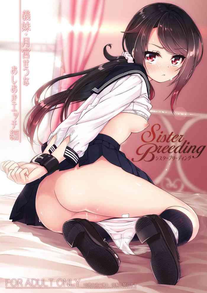 sister breedingpunishment sex edition with step sister tsukimiya setsuna cover