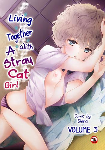 noraneko shoujo to no kurashikata vol 3 living together with a stray cat girl vol 3 cover