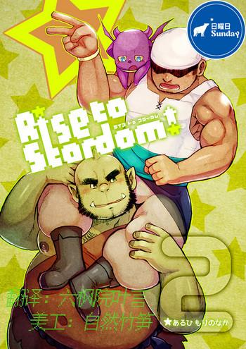 rise to stardom 2 cover