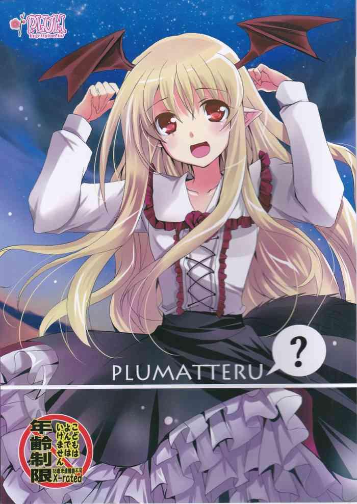 plumatteru cover