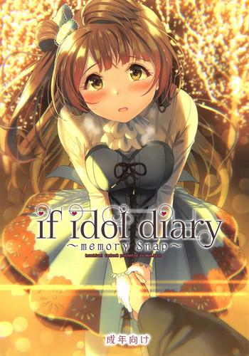 if idol diary cover