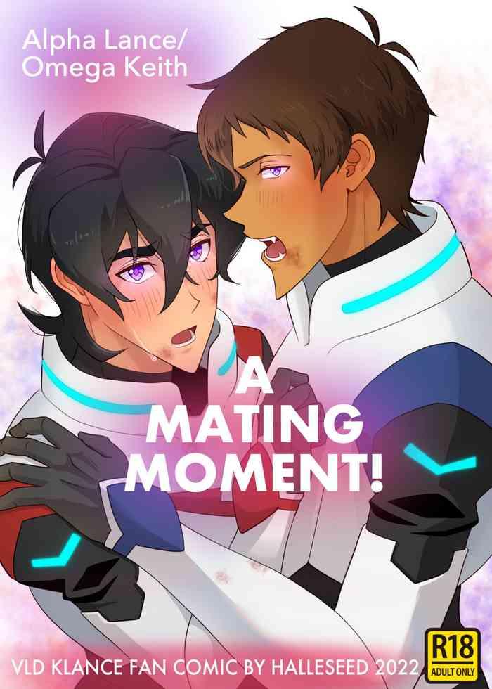 a mating moment cover