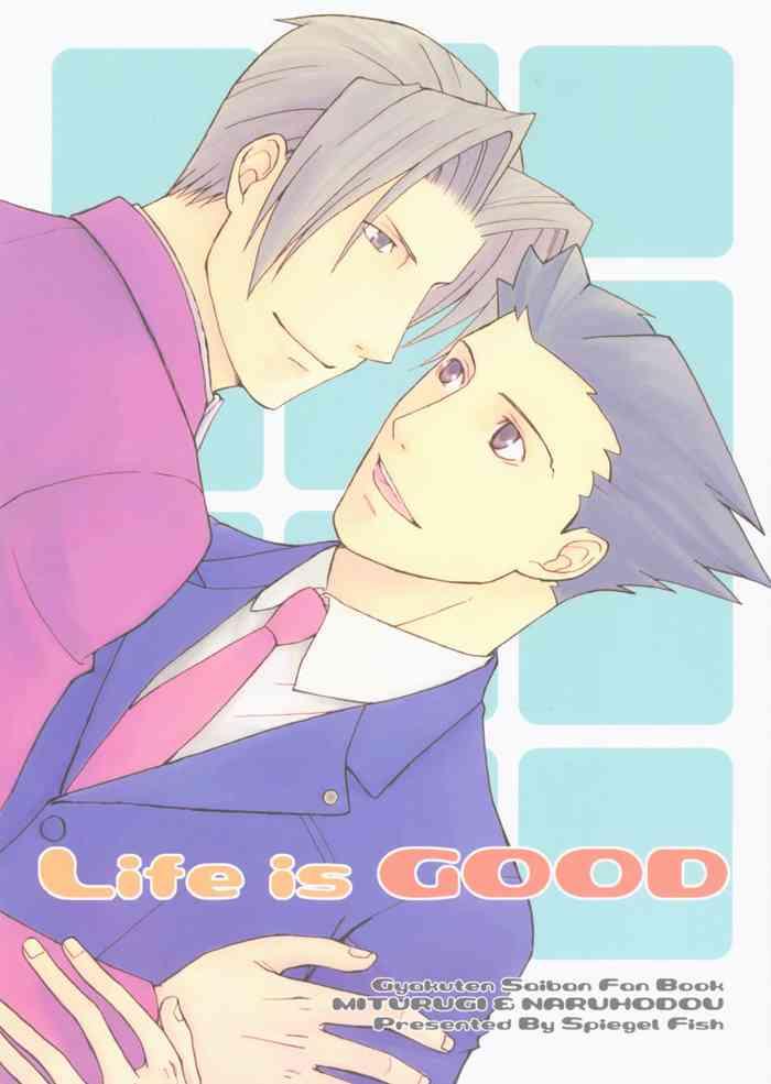 ace attorney dj life is good cover