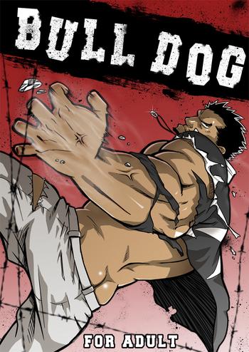 bull dog cover