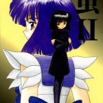 hotaru ii cover