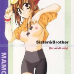 mamoru sister brother cover